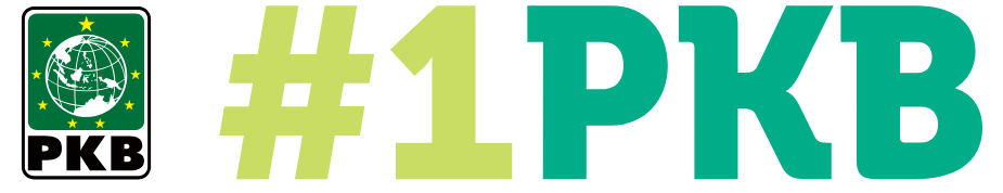 DPW PKB SUMSEL 